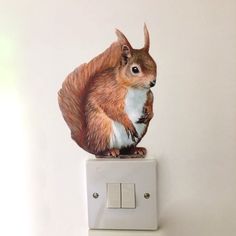 a squirrel figurine sitting on top of a white light switch cover in a room