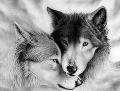 two wolfs are cuddling together on a blanket