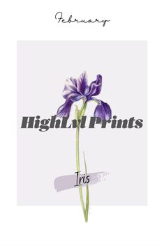 a purple flower with the words high and prints on it's bottom right corner