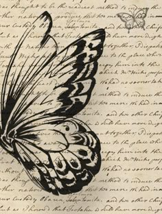 a black and white butterfly sitting on top of a piece of paper with writing in it