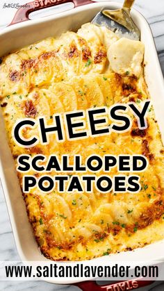 cheesy scalloped potatoes in a casserole dish with text overlay