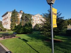 there is a bench in the grass near a street light and building on the other side