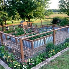 an outdoor vegetable garden with lots of plants and vegetables growing in the fenced area