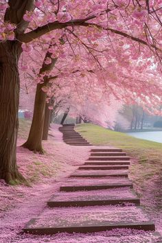 the steps are lined with pink flowers and trees