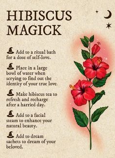 Glamour Magick Herbs, Plant Magick, Glamour Magick, Herbal Witch, Kitchen Witch Recipes