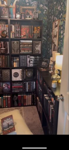 a room filled with lots of books on top of a book shelf next to a bed