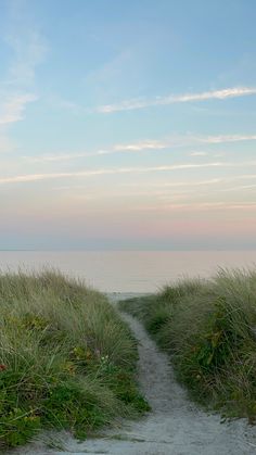 a path leading to the ocean with tall grass on both sides