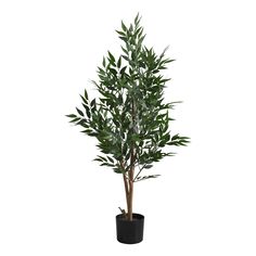 a potted plant with green leaves in it on a white background for display purposes