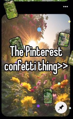 the pinterest confetti thing is shown in this screenshot from an iphone