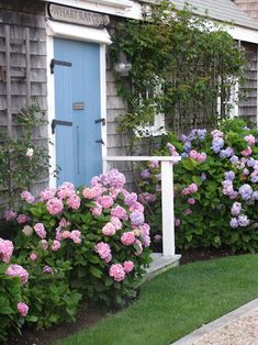 some pink and purple flowers are in front of a blue door on a gray house