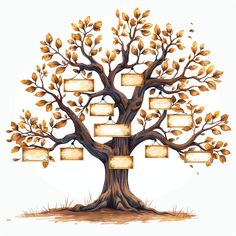 a family tree with four frames hanging from it's sides and leaves on the branches