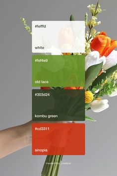 2024 Natural flower elegant color palette inspiration | Branding design Knit Color Combinations, Elegant Color Palette, Innovative Logo, Color Palette Inspiration, Colorful Logo Design, Palette Inspiration, Elegant Color, Logo Creation