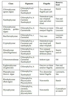 the table shows different types of chemicals and their names