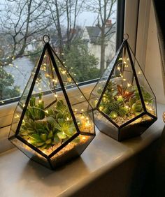 two glass terrariums with plants in them sitting on a window sill next to a window