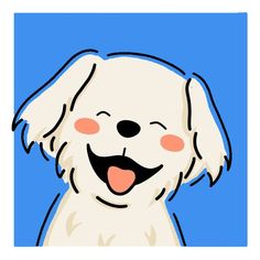 a white dog is smiling with its tongue out and it's eyes open in front of a blue background