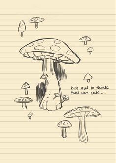 a drawing of mushrooms on lined paper