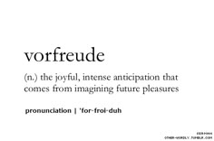 the words vorfeude are written in different font styles and colors, including black