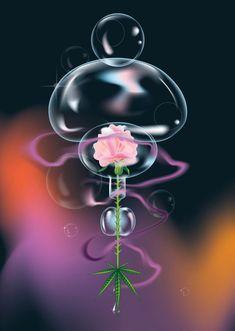 a pink rose sitting on top of a bubble like object with bubbles floating around it