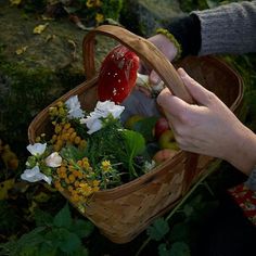 a basket filled with lots of flowers next to a person's hand holding an apple