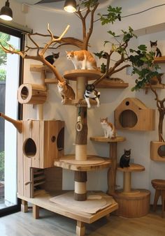 Discover a variety of stylish and comfortable cat condo furniture ideas that will delight your feline companion. From cozy nooks to luxurious towers, find the perfect piece to enhance your cat's living space and happiness. 🐱💕 #CatCondo #PetFurniture #CatLovers Cat Wall Aesthetic, Cat Wall Inspiration, House Cat Ideas, Pet Cafe Aesthetic, Cat Room Decor Ideas, Cat Friendly Furniture, Cat Cafe Design, Cat Cafe Interior Design, Aesthetic Cat Furniture