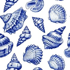 blue sea shells on a white background are drawn by hand in pencil and then ink