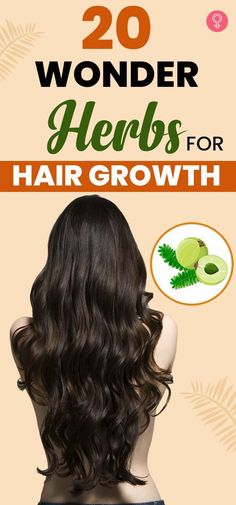 Herbs stimulate healthy hair growth and prevent hair loss. Check out our article to explore the 20 best herbs for hair growth and how to use them. Native American Hair Growth Secret, Hair Herbs, Herbs For Hair Growth, Herbs For Hair, Increase Hair Growth, Ayurvedic Hair, Brown Spots On Face, Health Ideas, Home Remedies For Hair