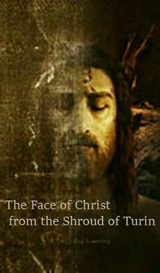 the face of christ from the shroud of turn