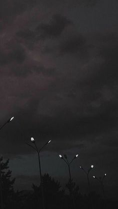 several street lights are lit up in the dark sky above some trees and bushes at night