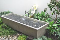 an outdoor bathtub in the middle of some plants