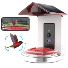 a red bird is flying next to a house with a video camera on it's side