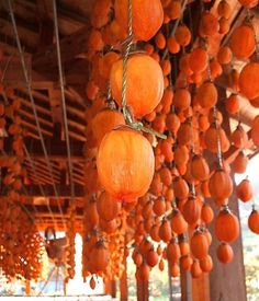 oranges are hanging from the ceiling in an outdoor market