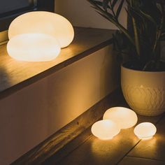 three lit candles sitting on top of a wooden table next to a potted plant