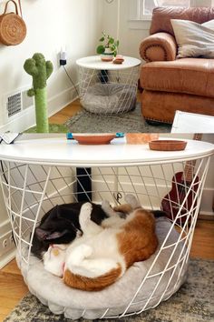 two cats sleeping in a wire basket on the floor