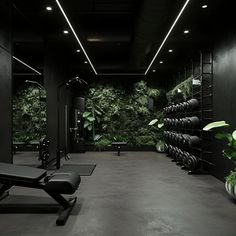 an empty gym with plants on the wall and black benches in front of rows of mirrors