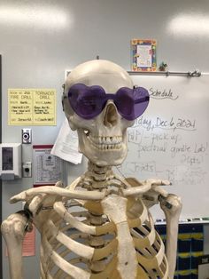 a skeleton with purple glasses in an office