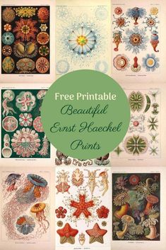 a bunch of pictures that are on top of each other with the words free printable beautiful