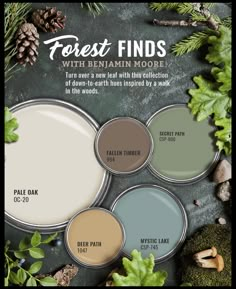 an advertisement for forest finds with paint colors