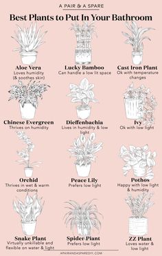 the best plants to put in your bathroom are labeled with their names and pictures,