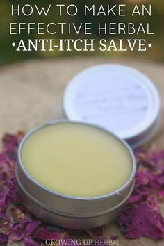 How To Make An Effective Herbal Anti-Itch Salve | Growing Up Herbal | Preventing bug bites is key, but what do you do to stop the itch if you or your kid does end up with them? Try this effective herbal anti-itch salve next time and see what you think! Salve Recipes, Anti Itch Cream, Healing Salves, Anti Itch, Natural Healing Remedies, Diy Remedies, Bug Bites