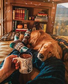 a dog laying on top of a bed next to a person holding a cup