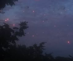 the sky is filled with fireflies as they fly through the air