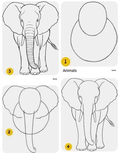 how to draw an elephant for kids step by step with pictures and instructions on how to draw an elephant