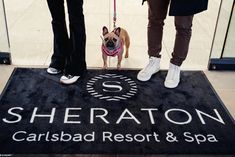 two people and a dog standing in front of the sheraton caribad resort & spa