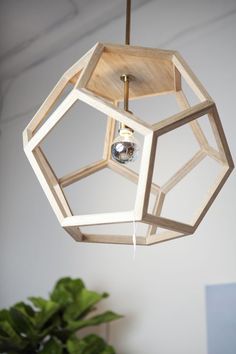 the light fixture is made out of wood and has an unusual shape that matches with the plant