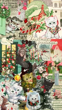 a collage of cats, christmas decorations and other things in the background with words on it