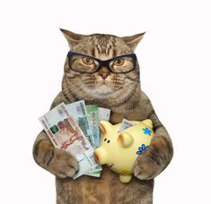 a cat wearing glasses holding a piggy bank and money in it's paws