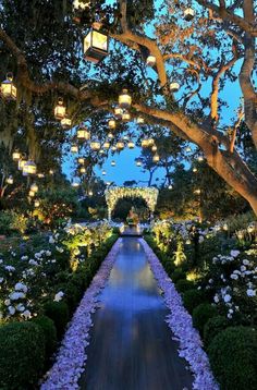 an outdoor wedding venue with white flowers and lanterns hanging from the trees over the walkway