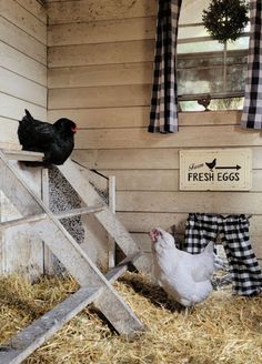 two chickens sitting on top of a wooden ladder in front of a chicken coop with hay