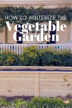 a vegetable garden with the words how to winterize the vegetable garden on it