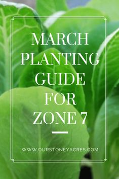 some green plants with the words march planting guide for zone 7 on top of them